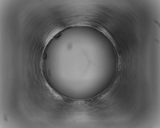X0000101190909200807110941