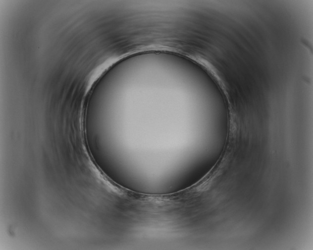 X0000101190910200807110941