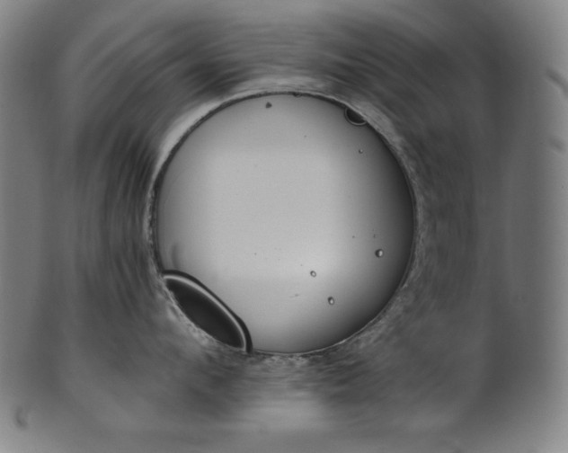 X0000101190912200807110941
