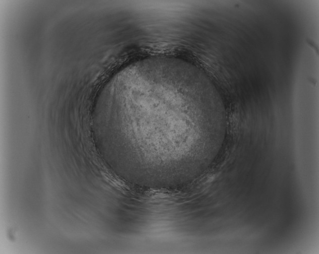 X0000101190913200807110941
