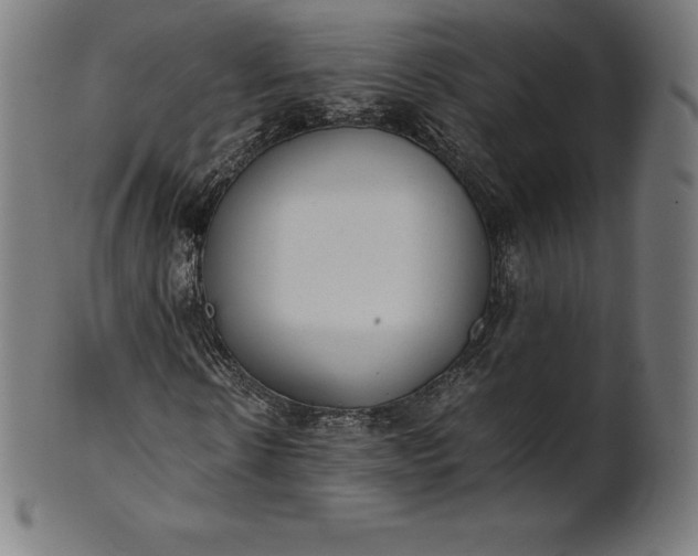 X0000101190914200807110941