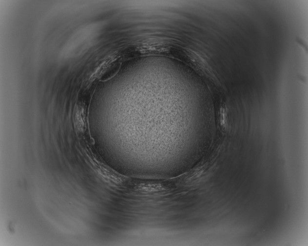X0000101190915200807110941