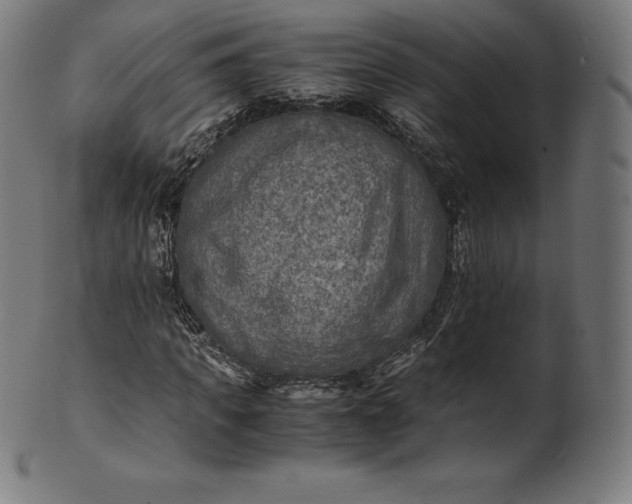 X0000101190917200807110941