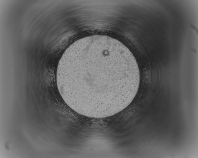 X0000101190918200807110941