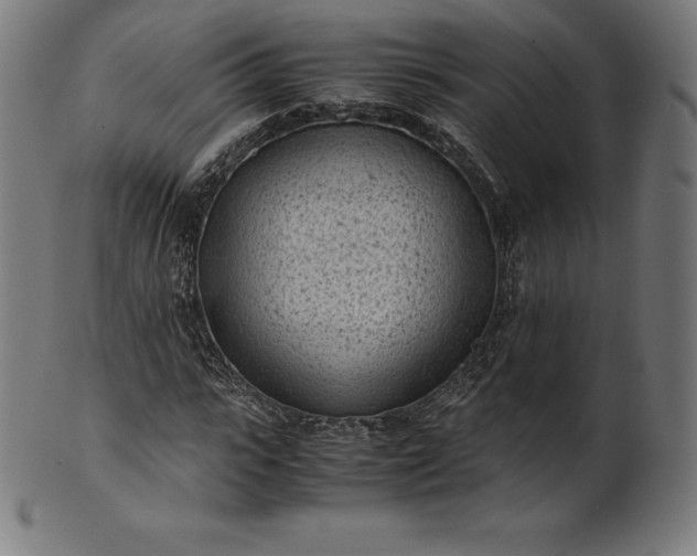 X0000101190919200807110941