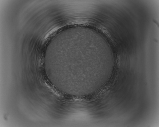 X0000101190920200807110941