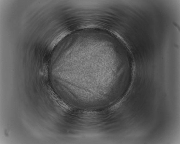 X0000101190921200807110941