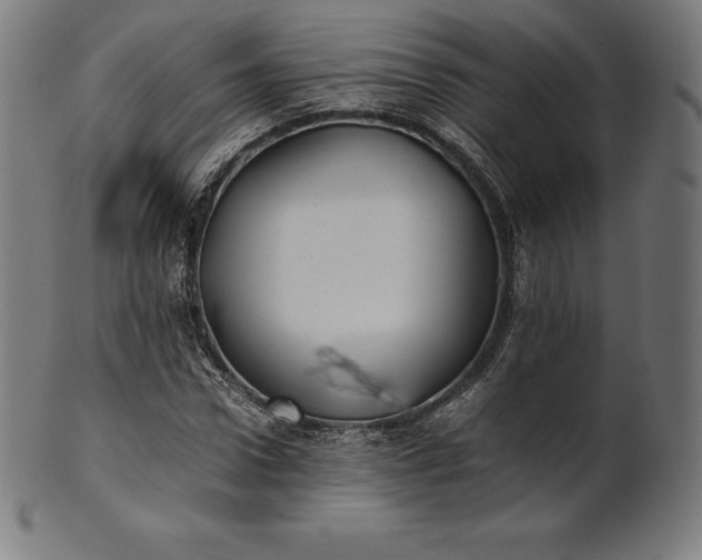 X0000101190922200807110941