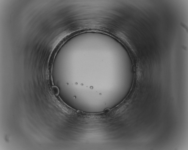 X0000101190924200807110941