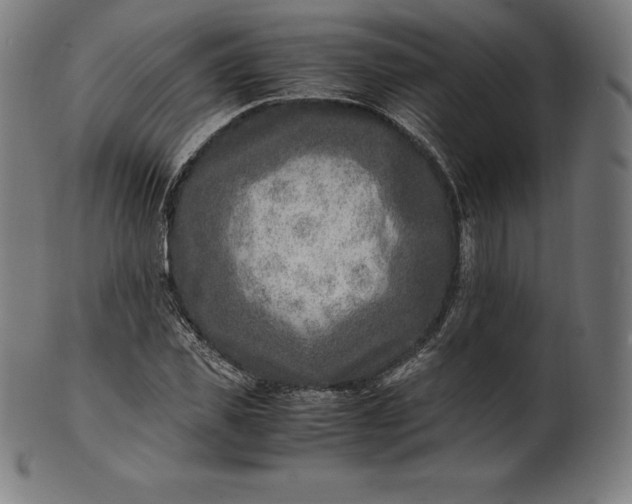 X0000101190925200807110941