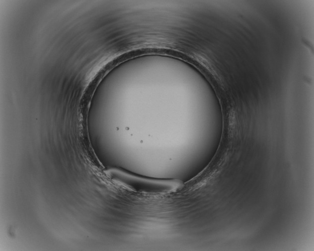 X0000101190926200807110941