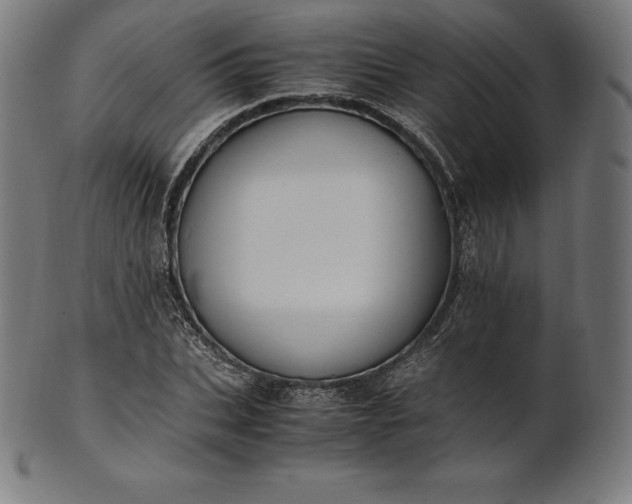 X0000101190927200807110941