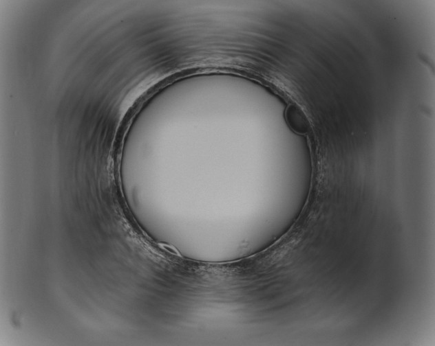 X0000101190928200807110941