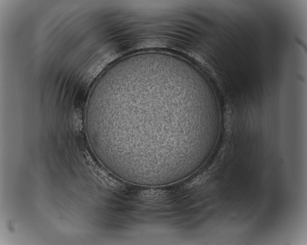 X0000101190929200807110941