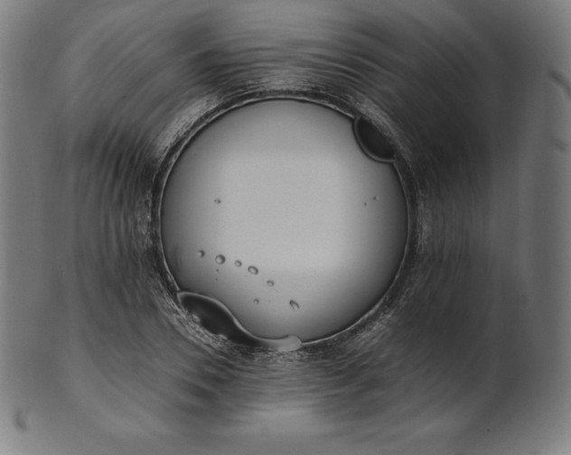 X0000101190930200807110941
