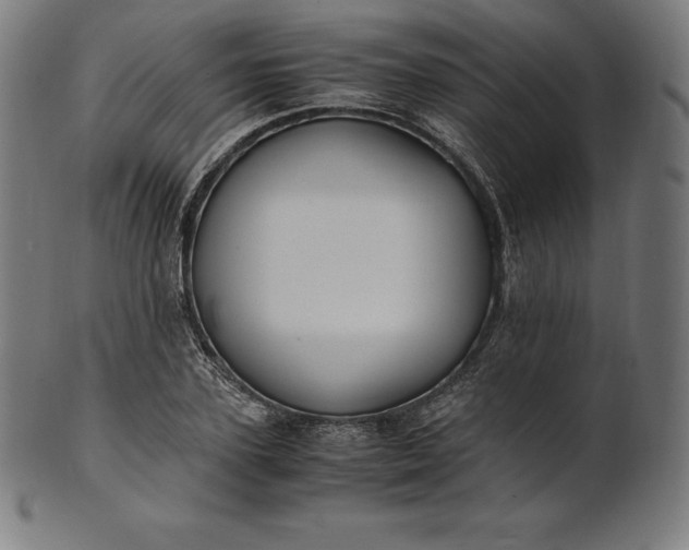 X0000101190931200807110941