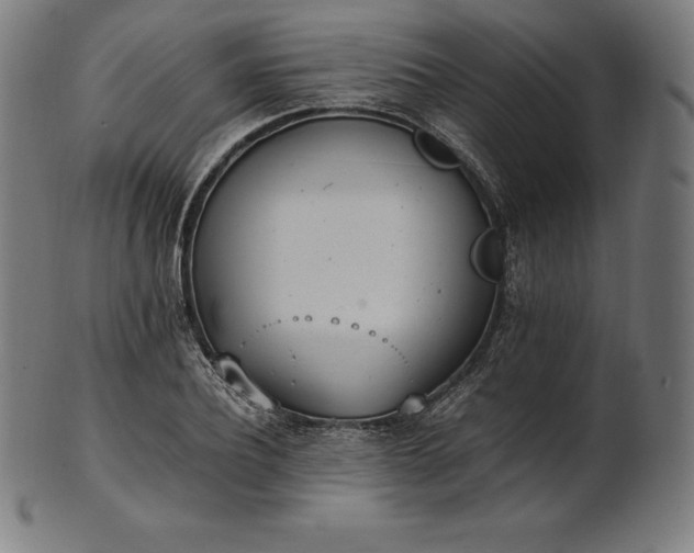 X0000101190932200807110941