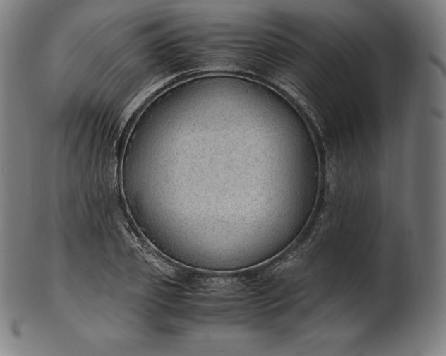 X0000101190933200807110941
