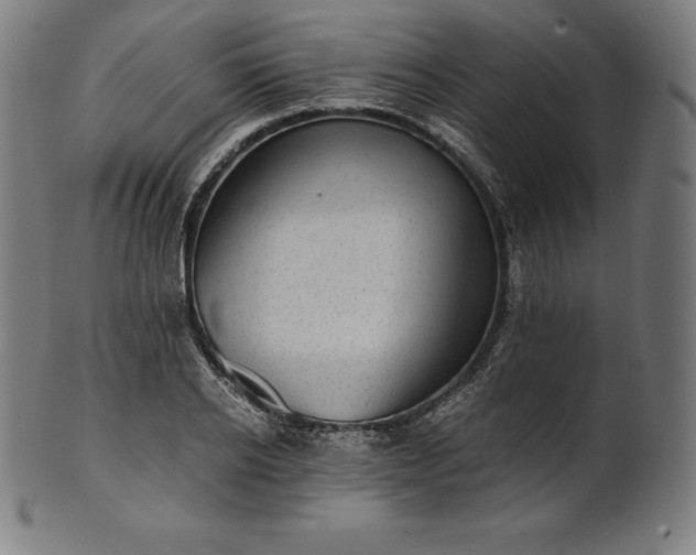 X0000101190934200807110941