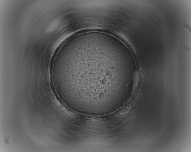 X0000101190935200807110941