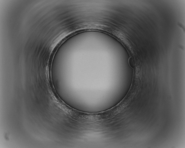 X0000101190936200807110941