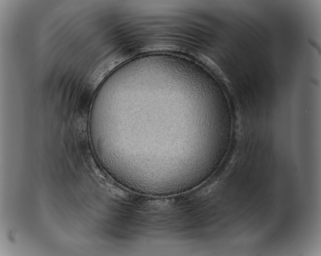 X0000101190937200807110941