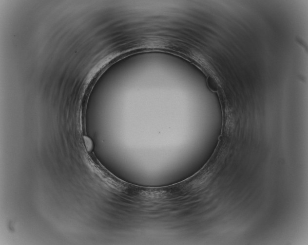 X0000101190939200807110941
