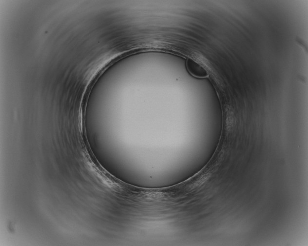 X0000101190940200807110941