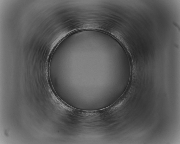 X0000101190941200807110941