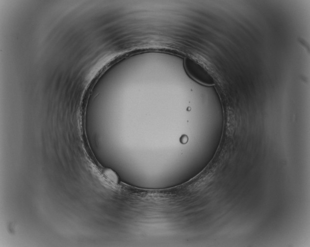 X0000101190942200807110941