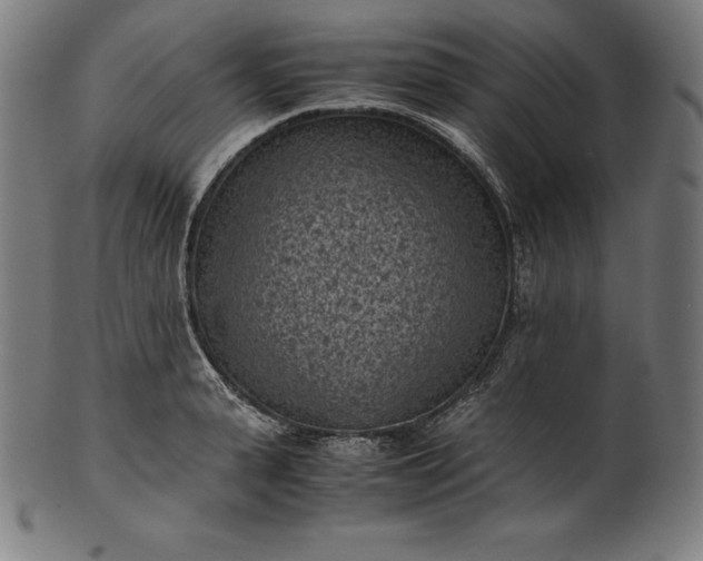 X0000101190943200807110941