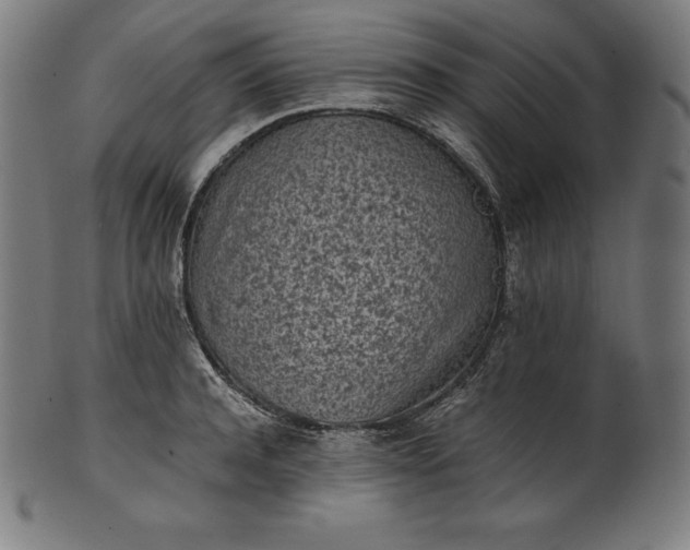 X0000101190944200807110941