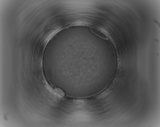 X0000101190946200807110941