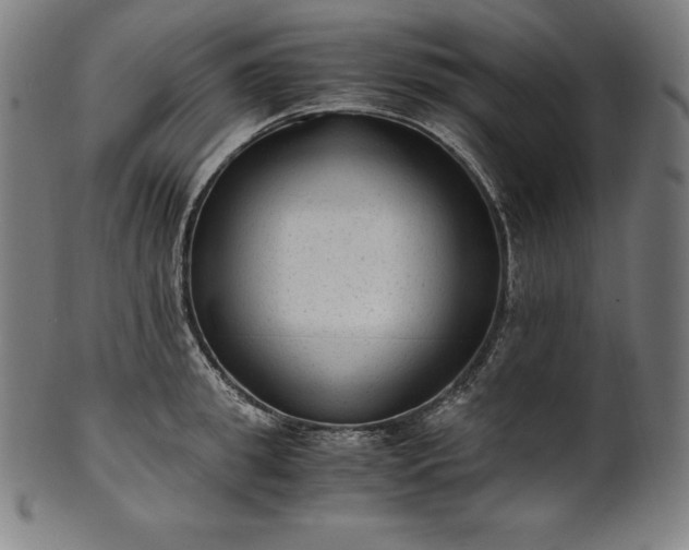 X0000101190949200807110941