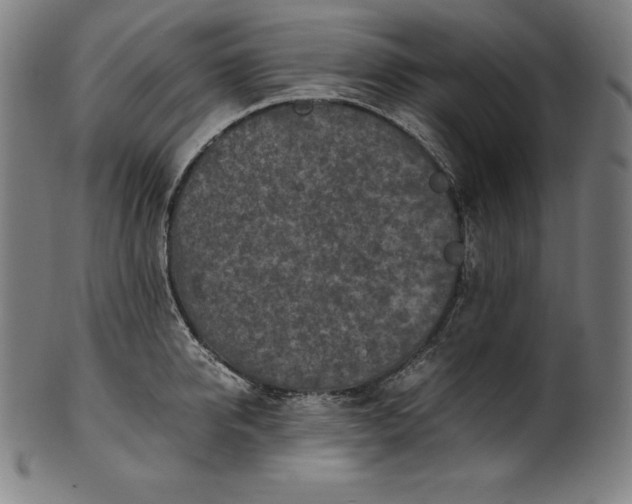 X0000101190950200807110941