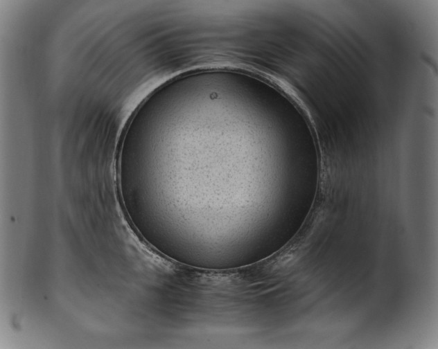 X0000101190951200807110941