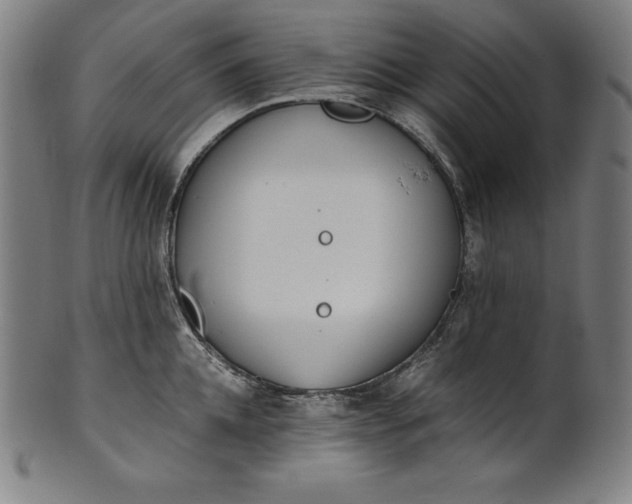 X0000101190952200807110941
