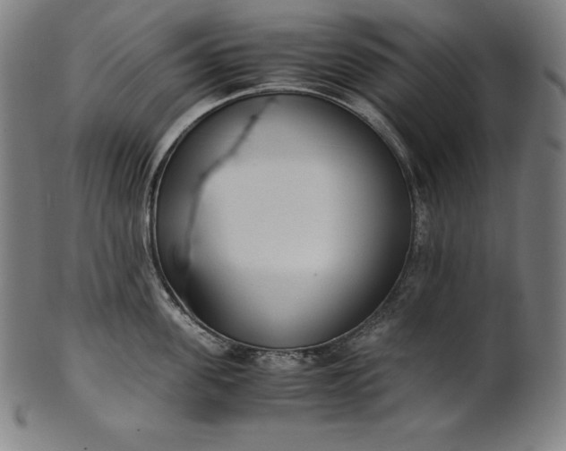 X0000101190955200807110941