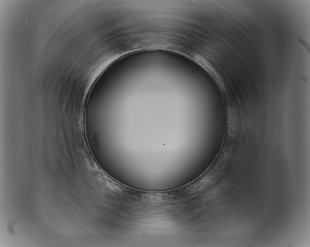 X0000101190956200807110941
