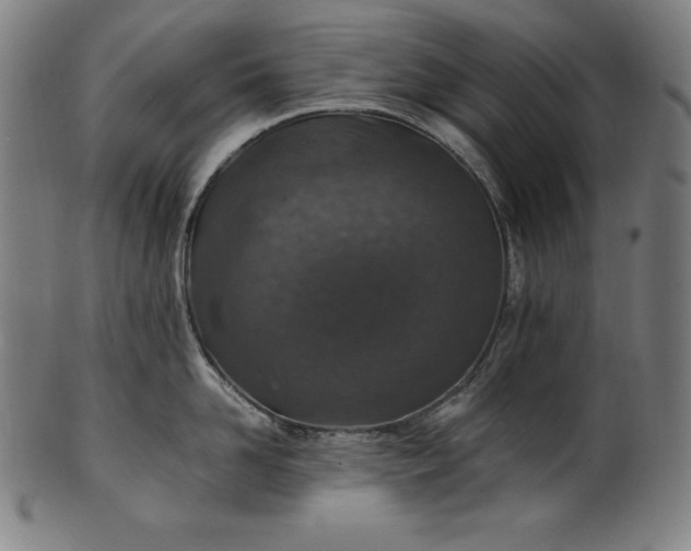 X0000101190958200807110941