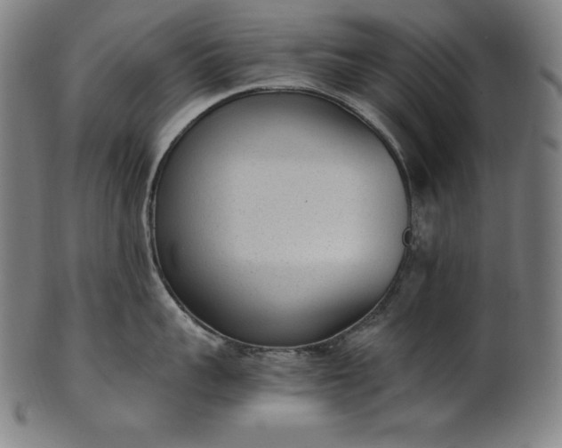 X0000101190959200807110941