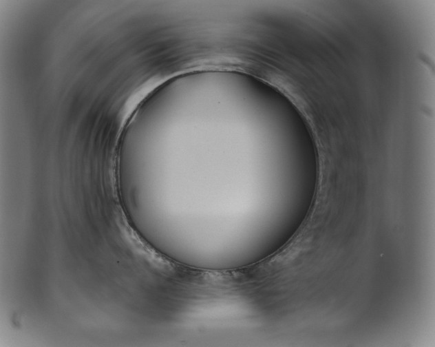X0000101190960200807110941