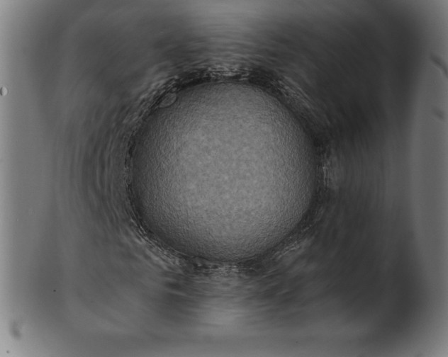 X0000101190961200807110941