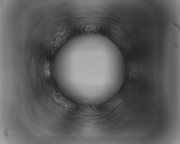 X0000101190962200807110940