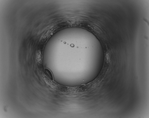 X0000101190963200807110940
