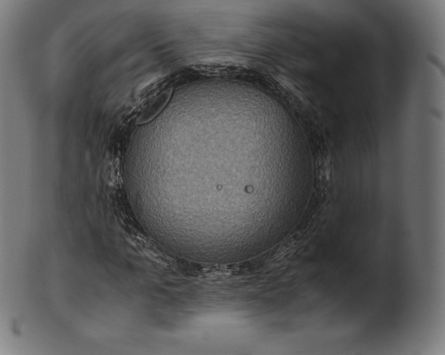 X0000101190965200807110940