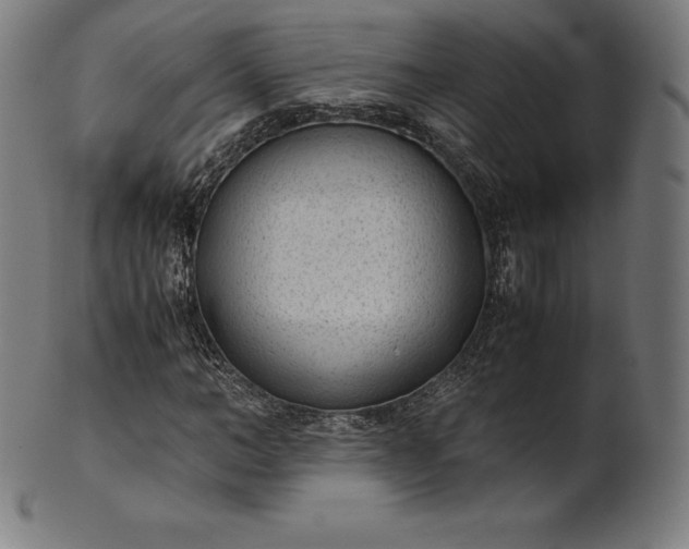 X0000101190966200807110940