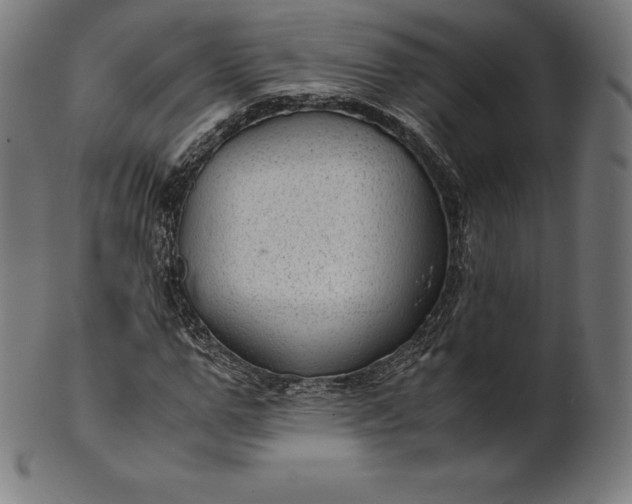 X0000101190967200807110940