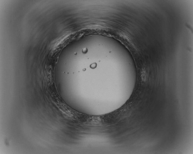 X0000101190968200807110940