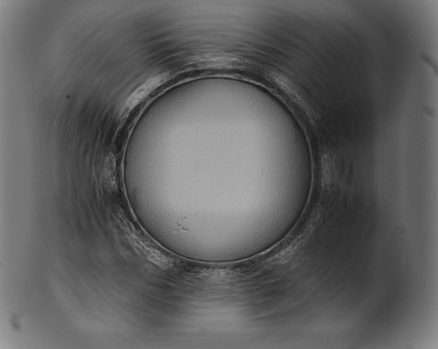 X0000101190970200807110940